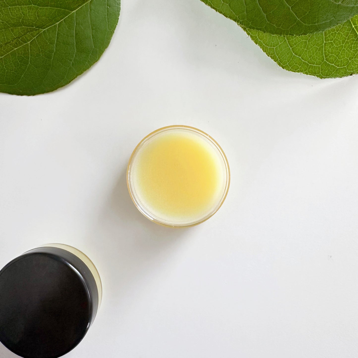Lip Butter (Back in stock in October)